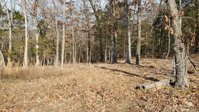 000 Lot 85 Overlook Subdivision, Kimberling City, MO 65686 - photo 4