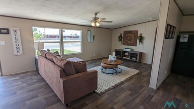 4209 Mimosa St, Carlsbad, NM 88220 - photo 3