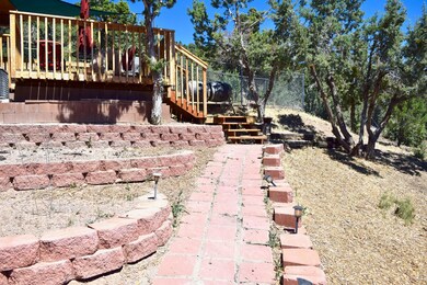 Backyard 2