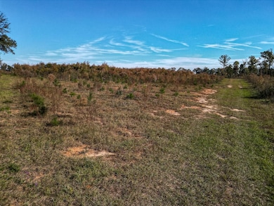 William Avera Rd, Morgan, GA 39866 - photo 6