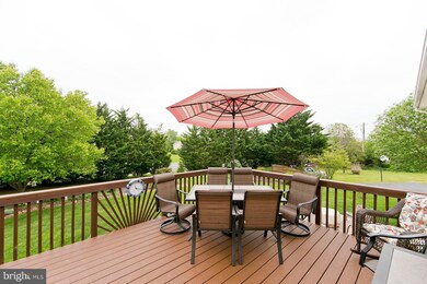 103 Button Bush Ave, Stephens City, VA 22655 - photo 6