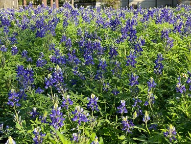 0000 Unknown Ave, Titusville, FL 32796 - photo 2