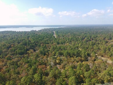 LOT 103 Shoreline Dr, Trinity, TX 75862 - photo 7