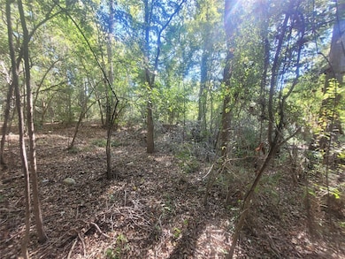 0 Lakeside Dr, Cleveland, TX 77327 - photo 4