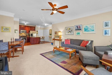 Mill Crossing unit 208, Frederick, MD 21702 - photo 3