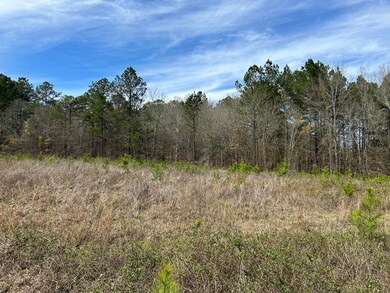 000 Augusta Hwy, Dearing, GA 30808 - photo 2