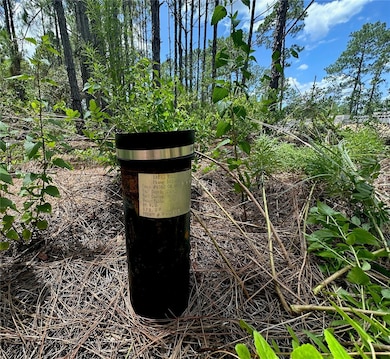 796 Fisher Rd, Ocklawaha, FL 32179 - photo 2