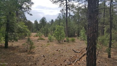 20160624_092038_resized_1