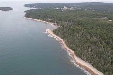 0 Butler Rd unit 1617632, Frenchboro, ME 04685 - photo 7