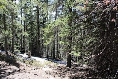 unlisted-address, Idaho Springs, CO 80436 - photo 6