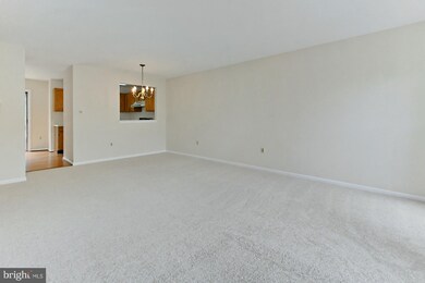 13914 Big Yankee Ln, Centreville, VA 20121 - photo 7