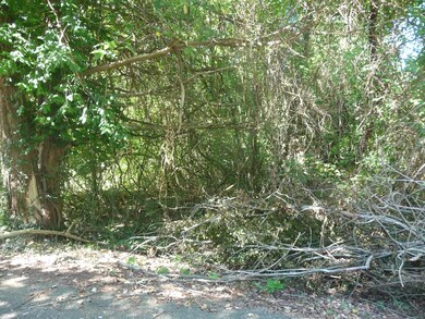 Tbd Kimberling Hills, Kimberling City, MO 65686 - photo 3