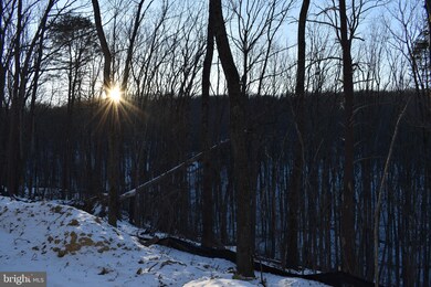 345 Laurel Hill Rd, Harpers Ferry, WV 25425 - photo 4