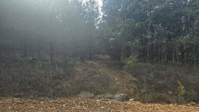 2135 Union Hill Rd, Bradford, AR 72020 - photo 7