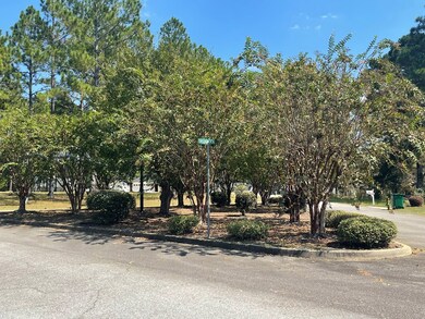 101 Creekwood Cir, Sylvester, GA 31791 - photo 5