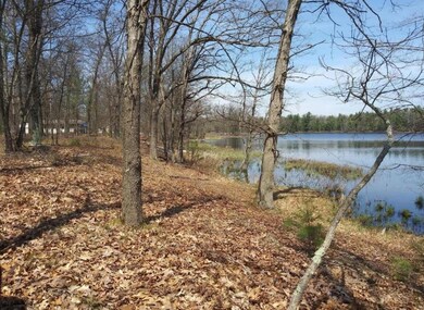 V/L N Beaver Trail, Lilley Township, MI 49309 - photo 3