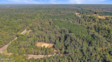 0 Cleary Rd, Florence, MS 39073 - photo 2