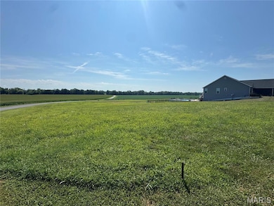 3402 Arbor View Ct, Freeburg, IL 62243 - photo 2