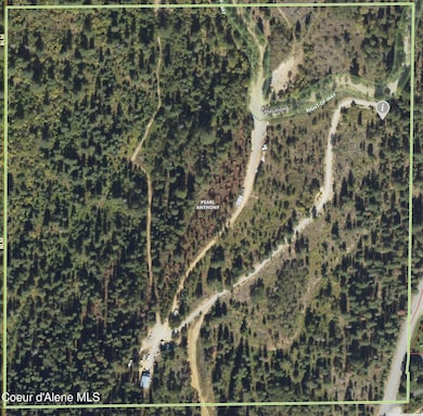 905 Terror Gulch Rd, Osburn, ID 83849 - photo 5