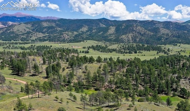 TBD Golden Eagle Heights, Florissant, CO 80816 - photo 2