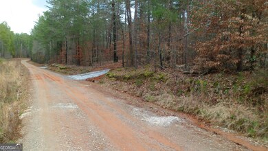 0 Henry Moon Dr unit 10452056, Elberton, GA 30635 - photo 4