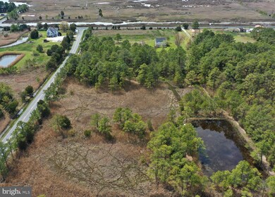 2904 Crapo-Wingate Rd, Crapo, MD 21626 - photo 6