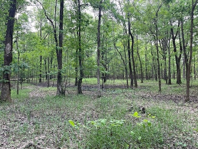 Highway 6, Marks, MS 38646 - photo 5