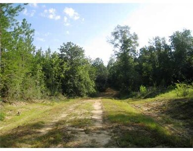 0 Barton Agricola Rd unit 3231818, Lucedale, MS 39452 - photo 4