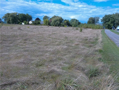 V/L Lake Rd, Porter, NY 14131 - photo 6