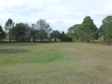 5205 Fan Palm Ave, Cocoa, FL 32927 - photo 5