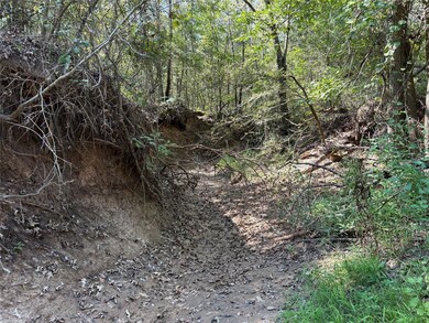 0 Fm 69 unit 24739380, Como, TX 75431 - photo 3