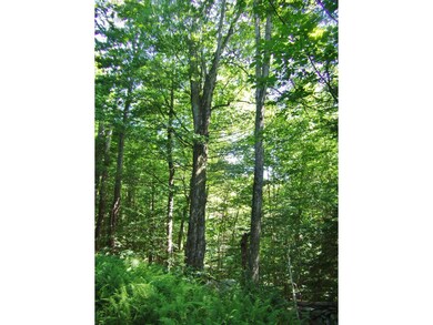 00 Hemenway Rd, Ludlow, VT 05149 - photo 2