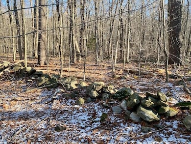 Lot 19-I W Center Rd, Otis, MA 01253 - photo 5