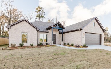 7041 Cold Creek Dr, Alexander, AR 72002 - photo 3