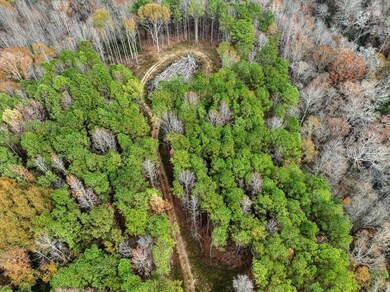 0 County Road 1506, Cullman, AL 35058 - photo 2