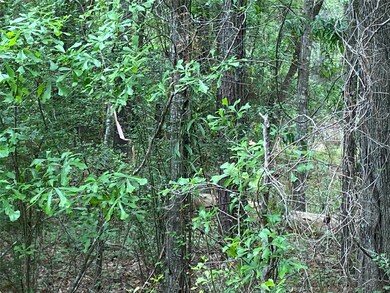 21195 Carter Rd, Splendora, TX 77372 - photo 7