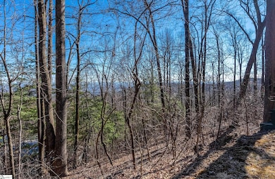 00 Wild Ginger Rd, Landrum, SC 29356 - photo 2