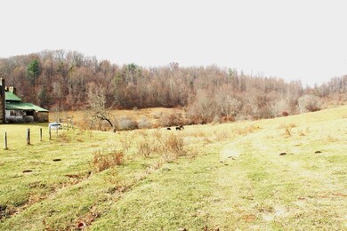 793 Coffeytown Rd, Vesuvius, VA 24483 - photo 6