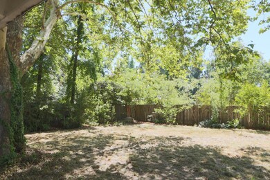 enormous fenced back yard