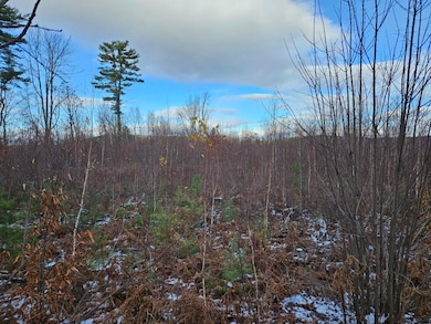 L52 Bridgton Rd, Sweden, ME 04009 - photo 3
