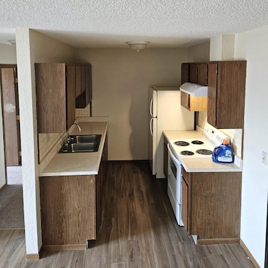 511 Carolina Ave unit 4, Hoffman, MN 56339 - photo 2