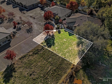 Aerial perspective of suburban area with property boundaries highlighted