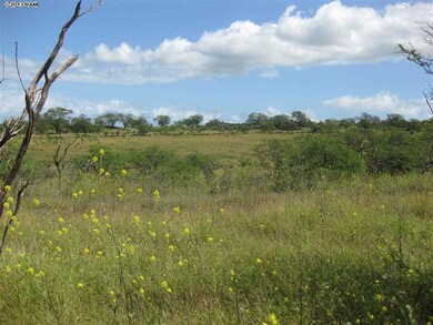 0 Pulehu Rd unit Lot 2 358915, Kula, HI 96790 - photo 5