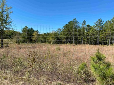 10982 10982 Cr 233, Arp, TX 75750 - photo 2