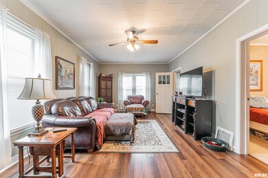 1418 N Ottawa St, Lincoln, IL 62656 - photo 6