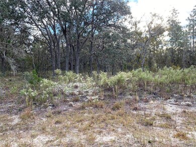 000 SW Admiral Landing Dr, Dunnellon, FL 34431 - photo 3