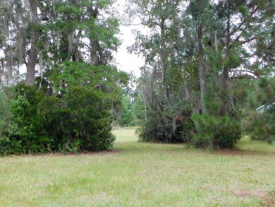 Lot 34 Jim Truesdell Rd SE, Darien, GA 31305 - photo 4