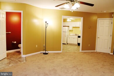 9211 Leigh Choice Ct, Owings Mills, MD 21117 - photo 6