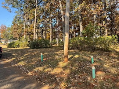 102 W Forest Ave, Troy, AL 36081 - photo 5