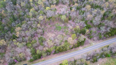 DJI_0369